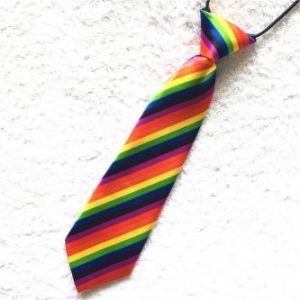 CORBATA Orgullo Gay