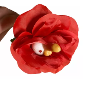 FLOR PENE