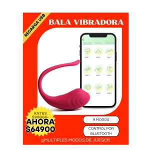 BALA VIBRADORA BLUETOOTH-USB-CON CONTROL