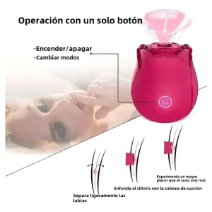 Succionador Vibrador Rosa Flor Clitoris Usb Recargable